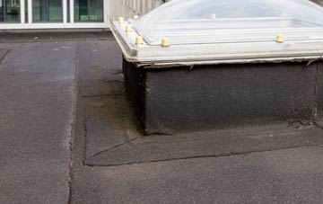 disadvantages of Waterhouses flat roofs