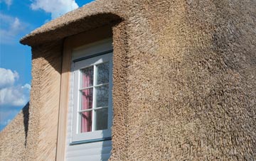 Waterhouses thatch roof disadvantages